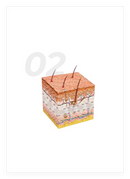 Derma Shine Pro Multiuse Mesotherapy Peranti Suntikan untuk Rawatan Skin Booster Sistem Pengisi Derma Paling Berkesan