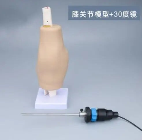 Arthroscope réglable à 30 degrés, chirurgie du genre articulé, modèle de formation de Simulation, chirurgie arthroscopique