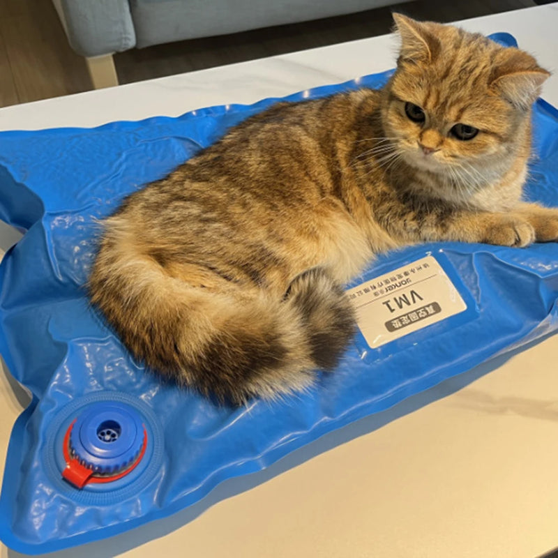 60cm*40cm Dierenchirurgie-accessoires Huisdier vacuüm positioneringsmat Verzorgingskamer Gebruik Kleine veterinaire onderzoekshuisdier Vaste pad