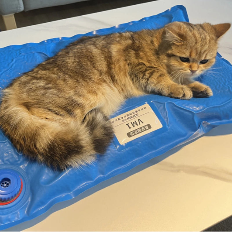 60cm*40cm Animal Surgical Accessories Pet Vacuum Positioning Mat Care Room Use Small Veterinary Examination Pet Fixed Pad