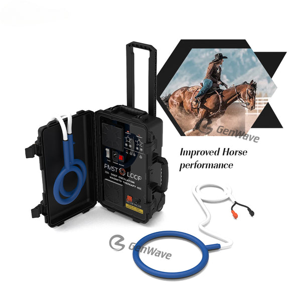 PEMF Equine Loop Magnetic Therapy For Horse Hock Disease Treatment Physiotherapy Machine