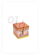 Derma Shine Pro Multiuse Mesotherapy Peranti Suntikan untuk Rawatan Skin Booster Sistem Pengisi Derma Paling Berkesan