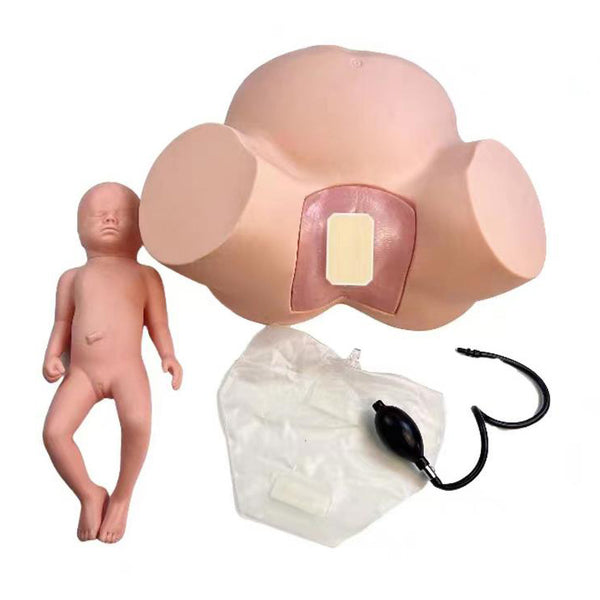 Avancerad barnmorskeutbildningsmodell Anatomi Förlossningssimulatordocka för undervisning Inlärningsvisningsverktyg