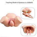 Modello di formazione ostetrica avanzata, modello di anatomia, simulatore di parto, manichino per l'insegnamento e lo strumento di visualizzazione dell'apprendimento