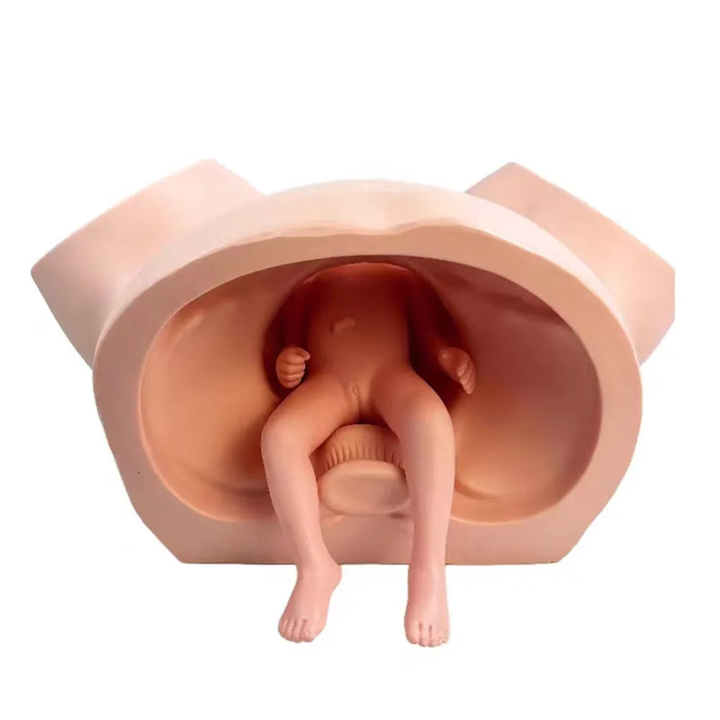 Mannequin de simulateur d'accouchement d'anatomie de modèle de formation avancée de sage-femme pour l'outil d'affichage d'apprentissage d'enseignement