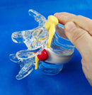 Anatomical Human Lumbar Vertebrae Skeleton Anatomy Degenerative Lumbar Disc Herniation Demonstration Model Spine Medical Aids