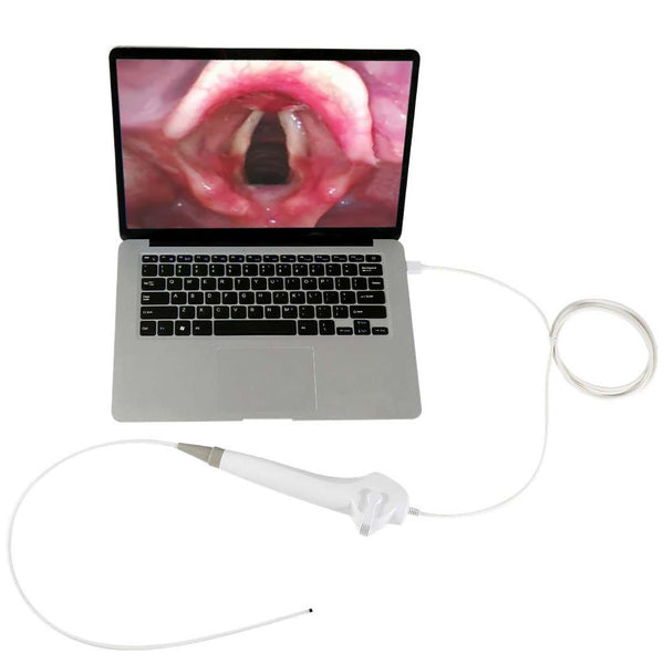 Rhinolaryngoscope flexible à portée nasale ORL Besdata Rhinolaryngoscope d'endoscopie à usage unique