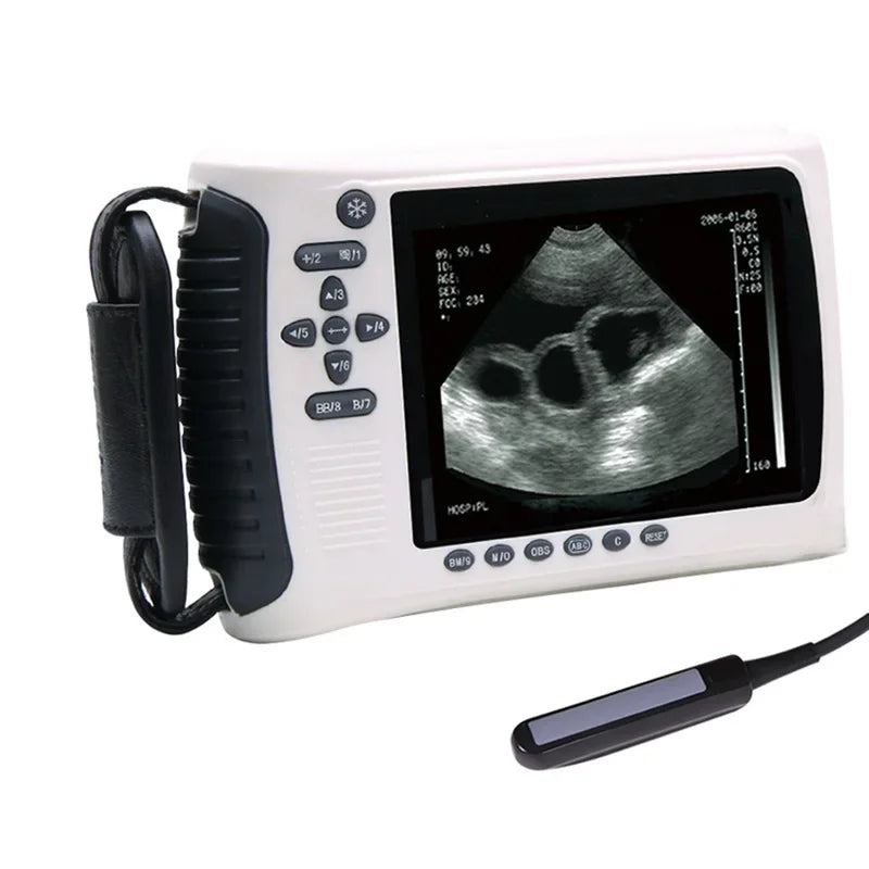 Veterinary Ultrasound Scanner