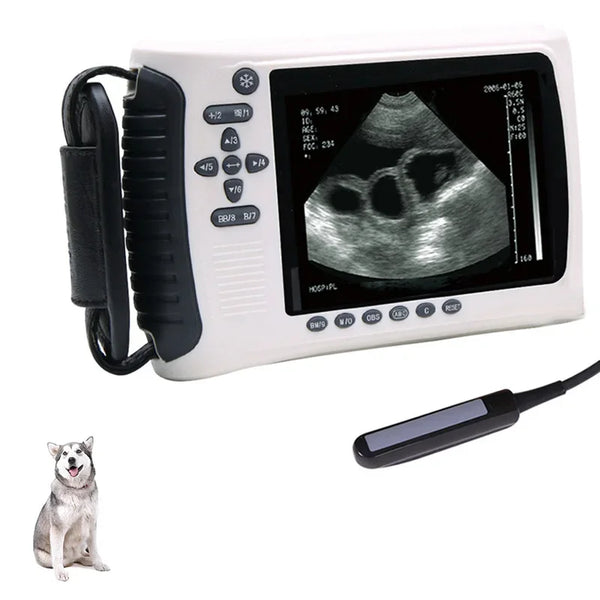 Veterinary Ultrasound Scanner