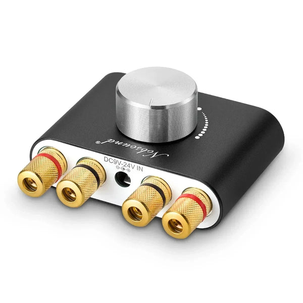 Mini Bluetooth 5.0 Dijital Amplifikatör NS-01G Hi-Fi Stereo Ev Ses Sistemi TPA3116 Güç Amplifikatörü 100W