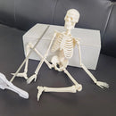 1 Pcs 45cm Human Skeleton Model Car Decoration Pendant Halloween Gift Anatomical Anatomy Skeleton Model Car Styling