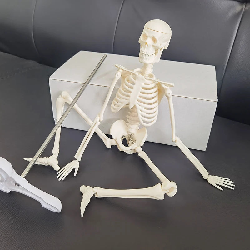 1 Pcs 45cm Human Skeleton Model Car Decoration Pendant Halloween Gift Anatomical Anatomy Skeleton Model Car Styling
