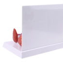 Modello anatomico umano della ghiandola tiroidea Patologia Anatomia Apparato digerente Display Studio Strumento didattico Halloween