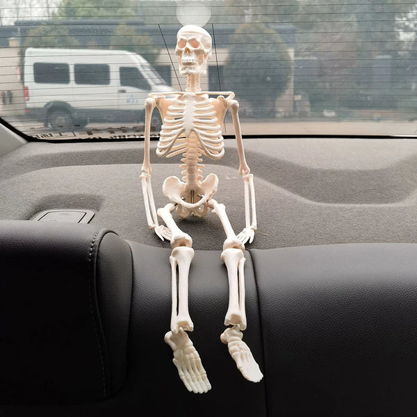 Modelo de esqueleto humano de 45cm, decoración de coche, colgante, regalo de Halloween, modelo de esqueleto de anatomía anatómica, estilo de coche, 1 Uds.