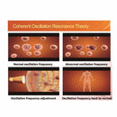 Millimeter Wave Therapy Machine 