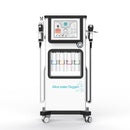 Alice Super Bubble 7 In 1 OxyGen Super Facial Care RF Ultrasonic Therapy Machine hydrodermabrasion