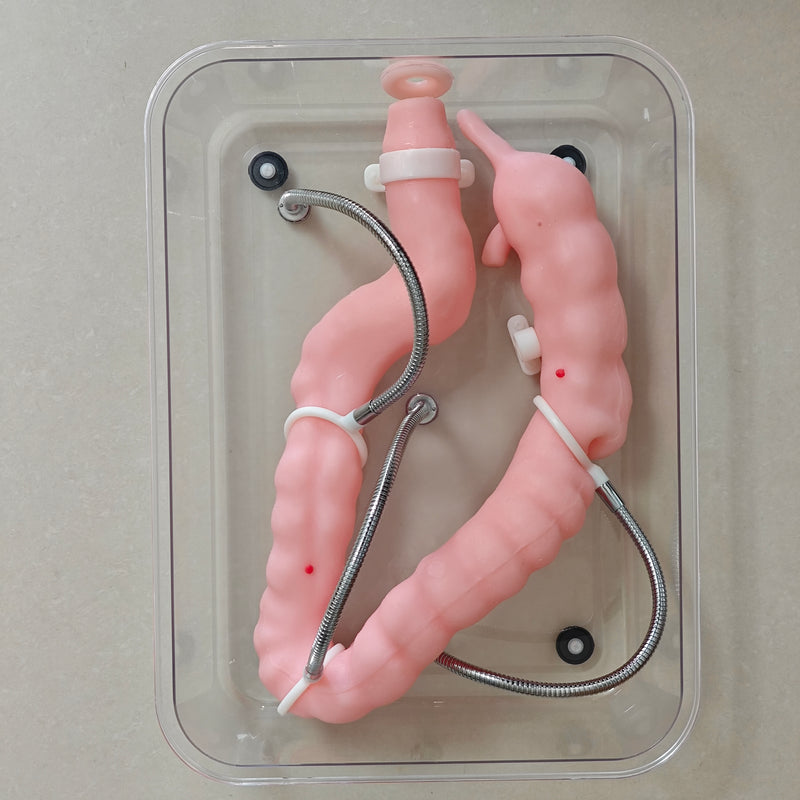 Modelo de colon quirúrgico/médico Modelo de entrenamiento de colonoscopia Modelo de entrenamiento de colonoscopia virtual suave