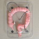 Colonoscopy Training Model Simulator