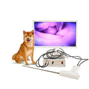 新登場!! 犬用視覚愛玩具＆TCI人工授精玩具