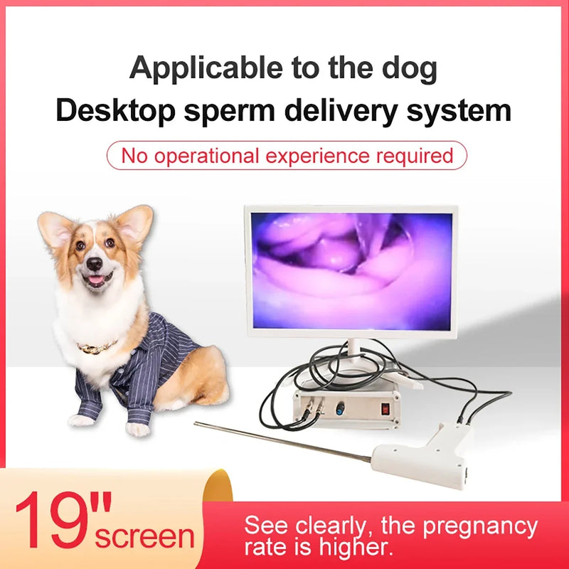 Nowość!! Canine visual Ai Gu &amp; TCI Artificial Insemination Gu