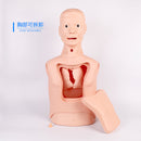 Modello avanzato di cura nasogastrica e tracheale – Formazione all'inserimento del tubo gastrico e tracheale, simulazione del lavaggio gastrico per l'istruzione medica