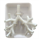 Bronchoscopy Training Model