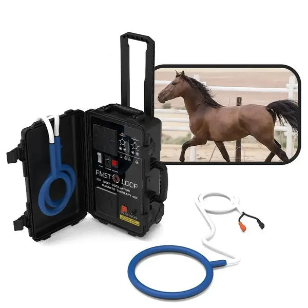 PEMF Equine Loop תרפיה מגנטית לטיפול במחלת אקס סוסים מכונת פיזיותרפיה