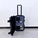 Mesin Terapi Elektromagnetik Pulsa PEMF Kuda PMST dengan Loop Tunggal dan Kupu-kupu untuk Perawatan Hewan