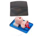 신생아 영아 기관내 삽관 모형 아날로그 이중 폐 및 위 확장 소아 기관내 삽관 시뮬레이터