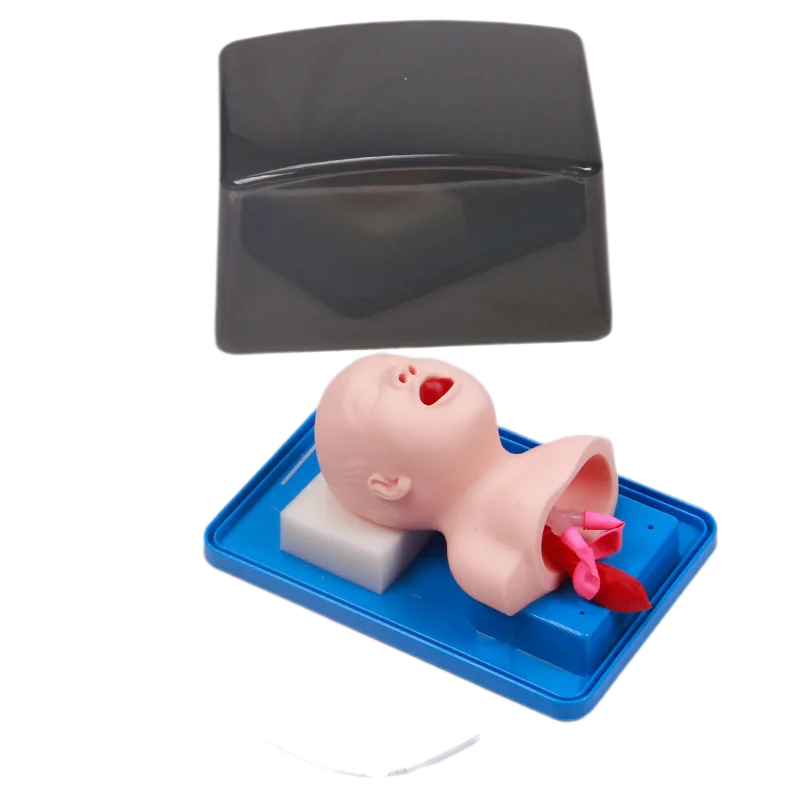 신생아 영아 기관내 삽관 모형 아날로그 이중 폐 및 위 확장 소아 기관내 삽관 시뮬레이터