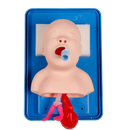 신생아 영아 기관내 삽관 모형 아날로그 이중 폐 및 위 확장 소아 기관내 삽관 시뮬레이터