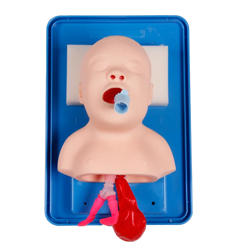 신생아 영아 기관내 삽관 모형 아날로그 이중 폐 및 위 확장 소아 기관내 삽관 시뮬레이터