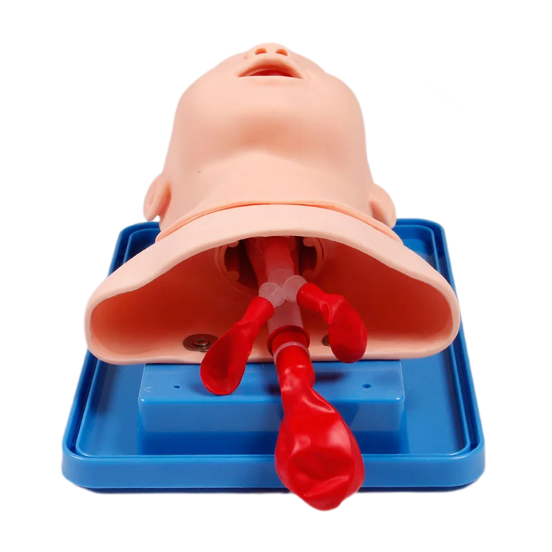 신생아 영아 기관내 삽관 모형 아날로그 이중 폐 및 위 확장 소아 기관내 삽관 시뮬레이터