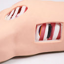 Simulador de Prática de Pneumotórax e Hidrotórax | Modelo de Treinamento para Tratamento de Feridas Torácicas para Estudantes de Enfermagem e Medicina
