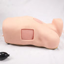 Simulador de Prática de Pneumotórax e Hidrotórax | Modelo de Treinamento para Tratamento de Feridas Torácicas para Estudantes de Enfermagem e Medicina