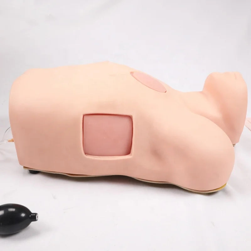 Simulador de Prática de Pneumotórax e Hidrotórax | Modelo de Treinamento para Tratamento de Feridas Torácicas para Estudantes de Enfermagem e Medicina