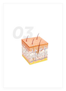 Derma Shine Pro Multiuse Mesotherapy Peranti Suntikan untuk Rawatan Skin Booster Sistem Pengisi Derma Paling Berkesan