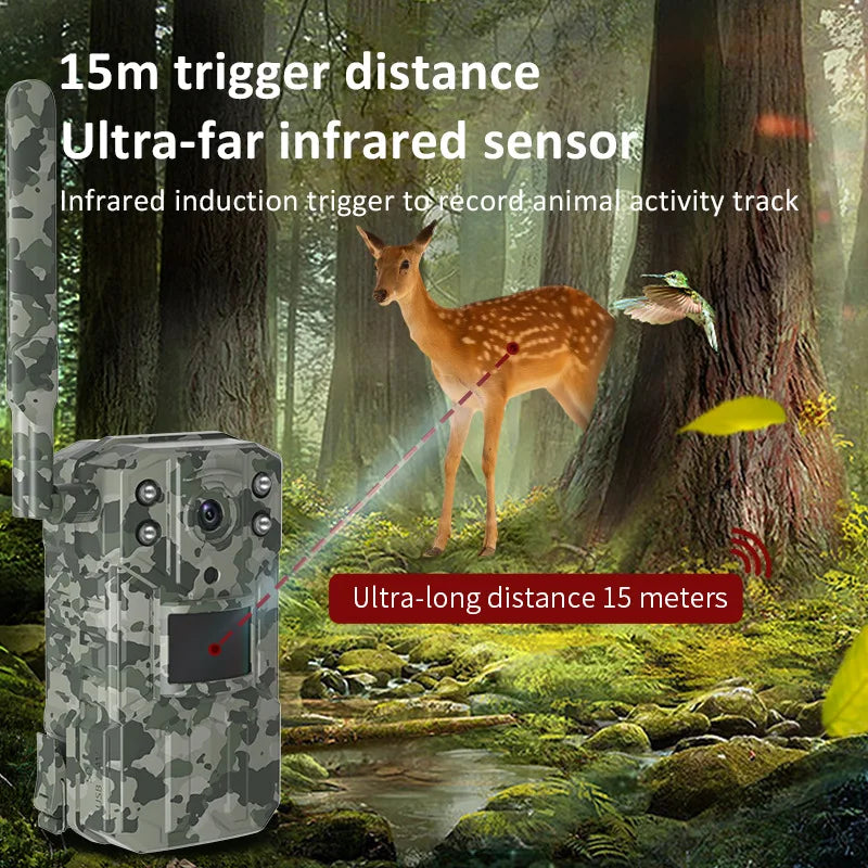 14MP 4G SIM 카드 태양 ​​사냥 트레일 카메라 IP66 방수 20M PIR 모션 감지 야생 동물 카메라 IR 야간 투시경 장치