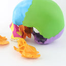 22개 부품 1:1 실물 크기 분해 두개골 머리 해부학 모델 의료 해부학 모델