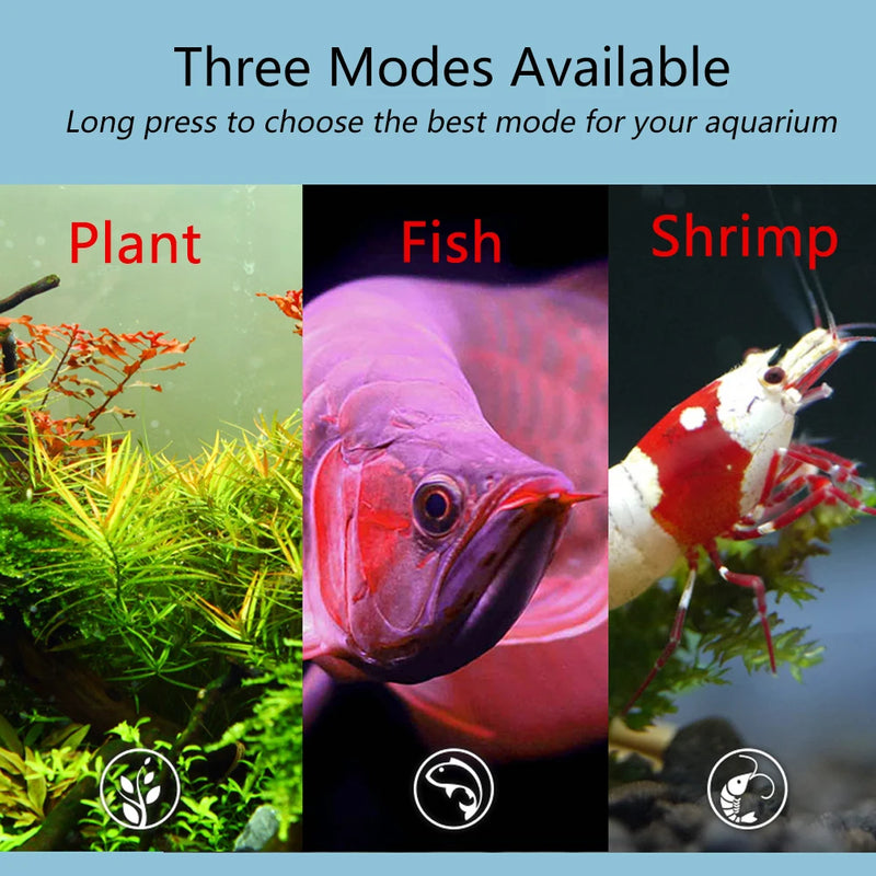 fish care accessories Tools Cleaning Aquarium | Twinstar Aquarium Tank | Chihiros Doctor Aquarium - 3/4 Algae