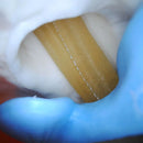 Artroscopio regolabile a 30 gradi, articolazione del genere, chirurgia simulata, modello di allenamento, chirurgia artroscopica