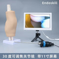 Artroscópio ajustável de 30 graus, cirurgia de gênero articulatio, modelo de treinamento de simulação, cirurgia artroscópica