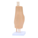 Artroscopio regolabile a 30 gradi, articolazione del genere, chirurgia simulata, modello di allenamento, chirurgia artroscopica