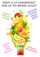 Hurom Slow Juicer HU19SGM Multifuncional Fruit and Vegetable Slow Juicer (Dourado e Vermelho)