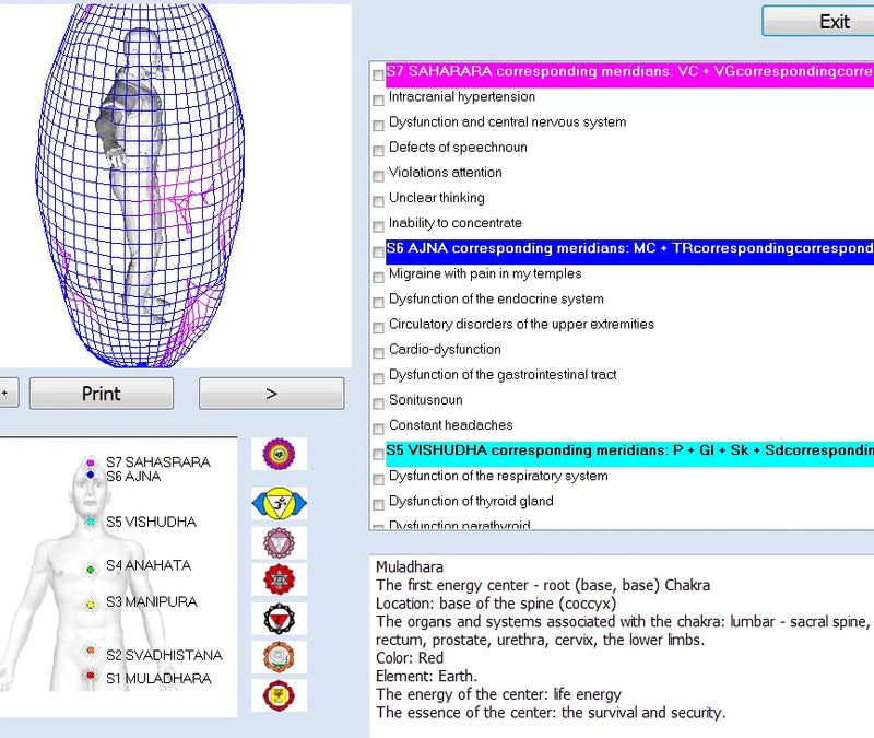 Bioressonância Original Russo 8D/9D/17D NLS Analisador de Saúde/Máquina de Análise Corporal com Aura E CHAKRAS