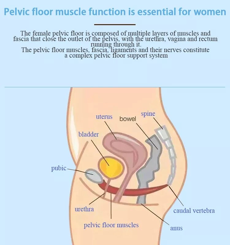 pelvic floor muscle postpartum muscle training prostate, Body shaping Massage Equipment, Massage & Relaxation, Beauty & Health
