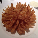 쉬운 꽃 양파 절단기 컷 양파 꽃 기계 개화 양파 제조기 양파 꽃 절단기 양파 꽃 제조기 세트