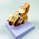 Внешние уши Анатомическая модель человеческого уха Модель органа 1,5 раза Модель медицинской науки