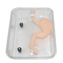 Gastroscopic surgery training model