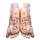 高品質20cm足鍼治療モデル足鍼治療針Acupointモデルの足鍼治療点モデル教示ツール2pcs